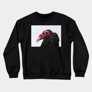 Scavenger Crewneck Sweatshirt